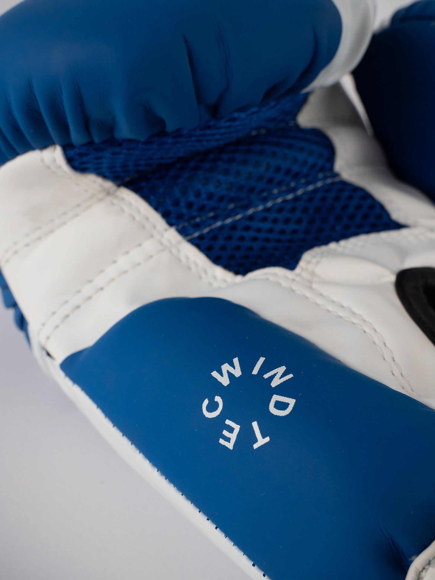 BLUE SAVATE BOXING GLOVES