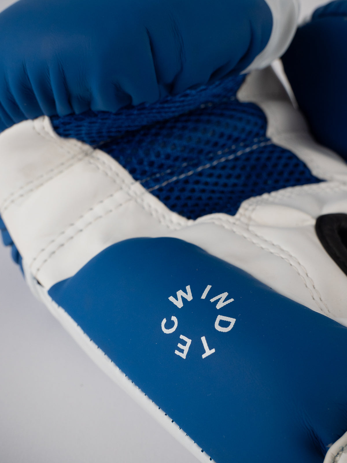 BLUE SAVATE BOXING GLOVES