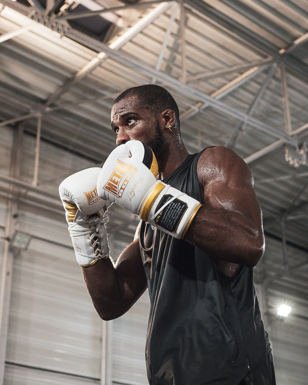 GANTS DE BOXE LEGACY HORSE HAIR BLANC